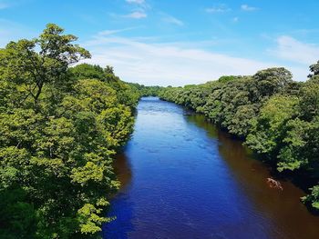 View of river with trees in background