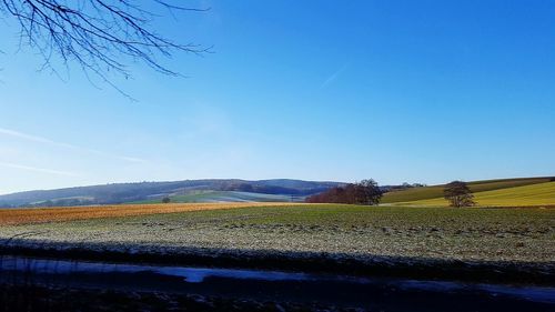 Scenic view of farm against clear blue sky