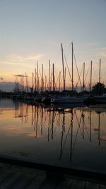 Sailboats in marina at sunset