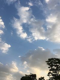 Low angle view of trees against cloudy sky