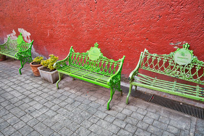 Fresh green plants against wall