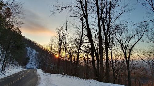 Road amidst bare trees during winter