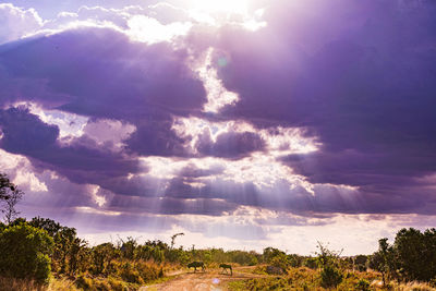 sky