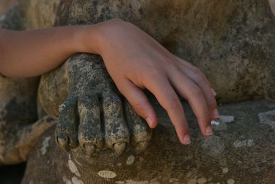 Close-up of hand holding lizard on rock