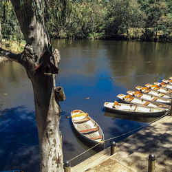 High angle view of rowboats moored at lake