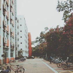 Cars parked on road