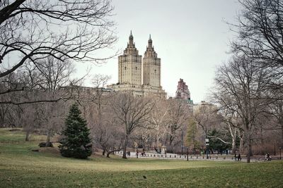 Trees in park with buildings in background
