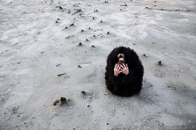 High angle view of dog on sand at beach