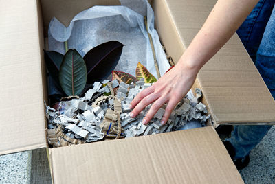 Young woman unboxing houseplants delivered by mail from an online shop