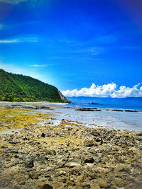 Scenic view of beach against blue sky