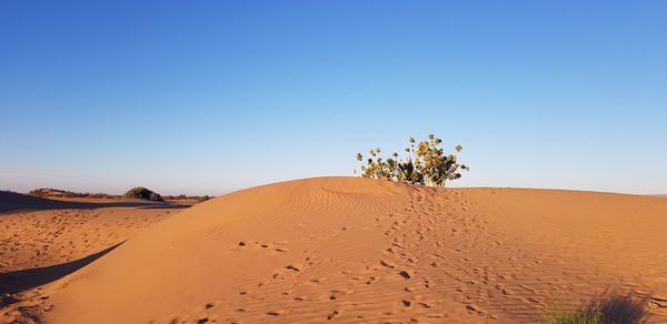 Scenic view of desert against clear sky