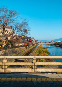 Plants by river against buildings in city
