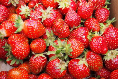 Close up of strawberries