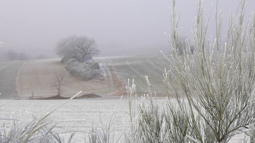 Scenic view of field against sky during winter