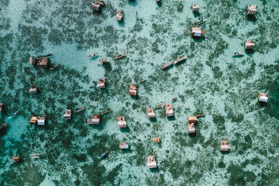 High angle view of people in water