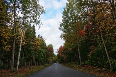 Road amidst trees against sky during autumn