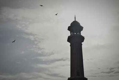 Birds flying against sky