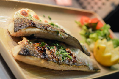 Close-up of fish in plate