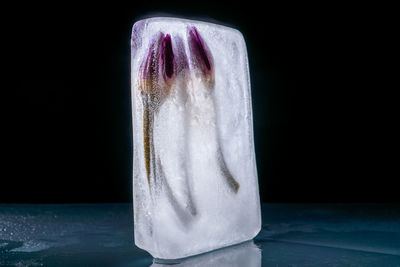 Close-up of ice cream against black background