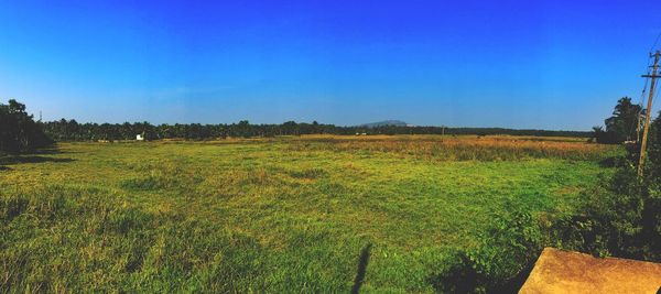 Scenic view of field against clear blue sky