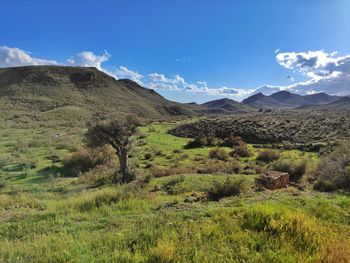 mountain