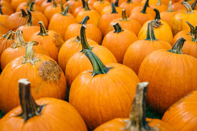 Pumpkins for sale at market stall