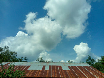 Low angle view of trees against blue sky