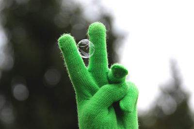 Close up of green plant