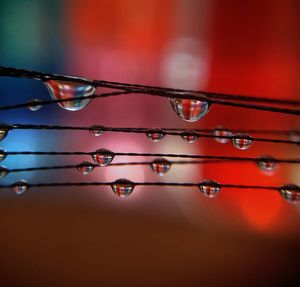 Close-up of water drops on illuminated surface