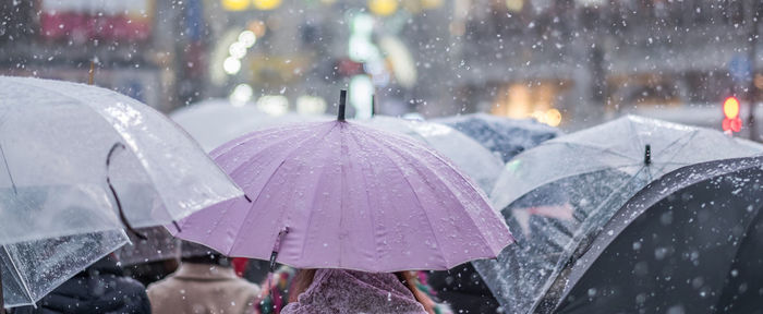 Rear view of people with umbrellas while snowing