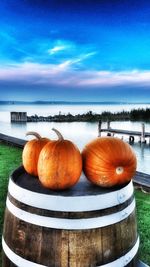 View of pumpkins in sea against blue sky