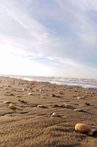 Surface level of sandy beach against sky