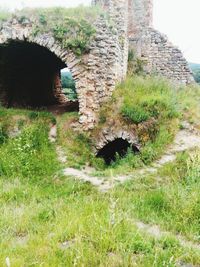 Stone wall on grassy footpath