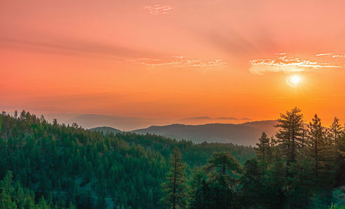 Scenic view of landscape against orange sky