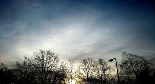 Low angle view of bare trees against blue sky