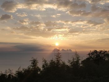 Silhouette trees against sky during sunset