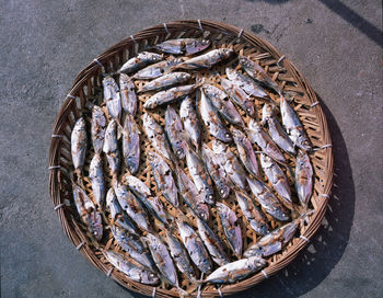 High angle view of fish in basket