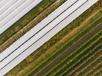 High angle view of green field