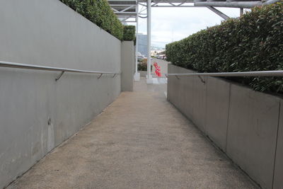 Empty footpath amidst buildings