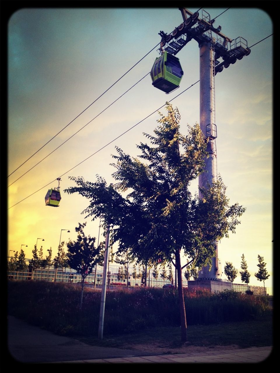 transfer print, auto post production filter, tree, sky, power line, connection, low angle view, electricity pylon, transportation, street light, electricity, clear sky, sunset, technology, outdoors, silhouette, fuel and power generation, power supply, tranquility, nature