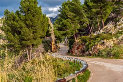 Road amidst trees and plants against sky