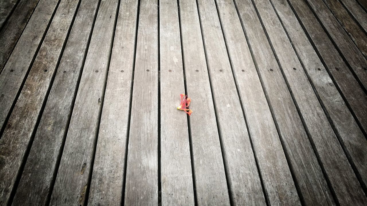 wood - material, wood paneling, outdoors, day, one person, backgrounds, nature, close-up, people