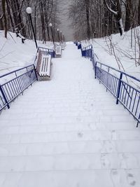 Empty footpath amidst trees