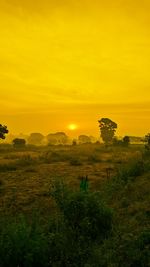 Scenic view of field against sky during sunset
