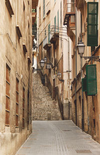 Alley amidst buildings