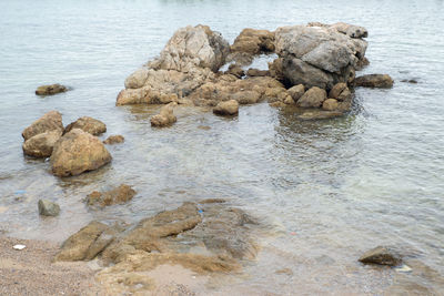 High angle view of rock formation in sea