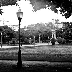 Street light in park