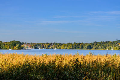 Scenic view of lake against blue sky