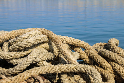 Close-up of rope tied on rock