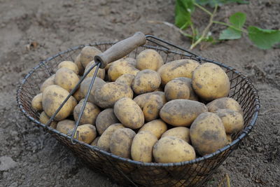 High angle view of wicker basket